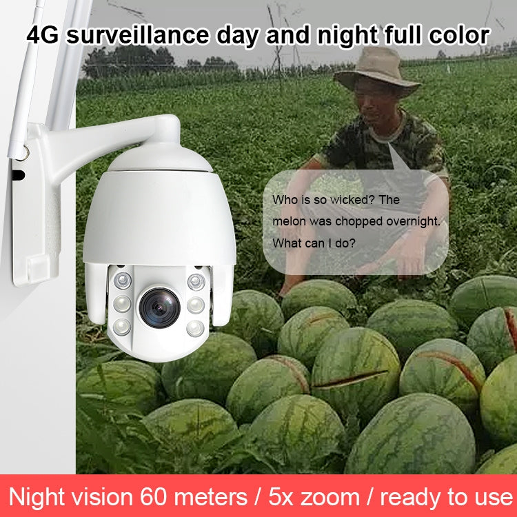 QX2 4G (US Version) 1080P HD 360 Degrees Panoramic Day and Night Full-color IP66 Waterproof Smart Camera, Support Motion Detection / Two-way Voice / TF Card, AU Plug