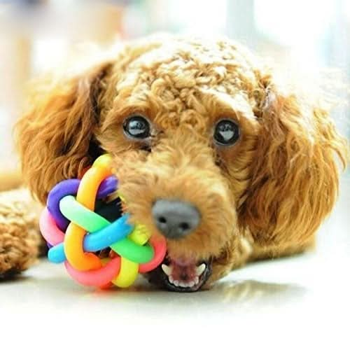 Fun Colorful Weave Style Bell Ball Pet Toy, Size: L (9*9*9cm) - Reluova