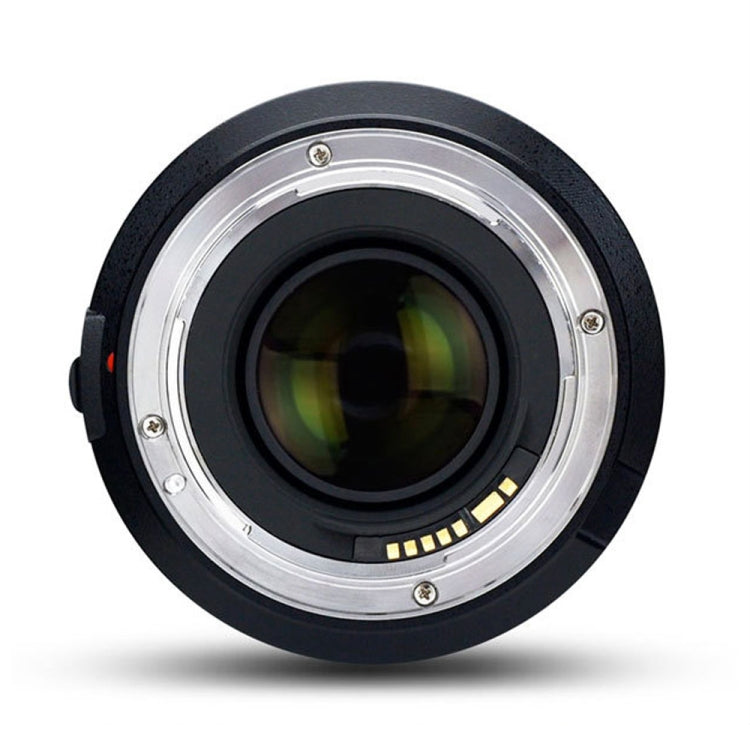 YONGNUO YN50MM F1.4C F1.4 Lens Large Aperture Auto Focus Lens for Canon