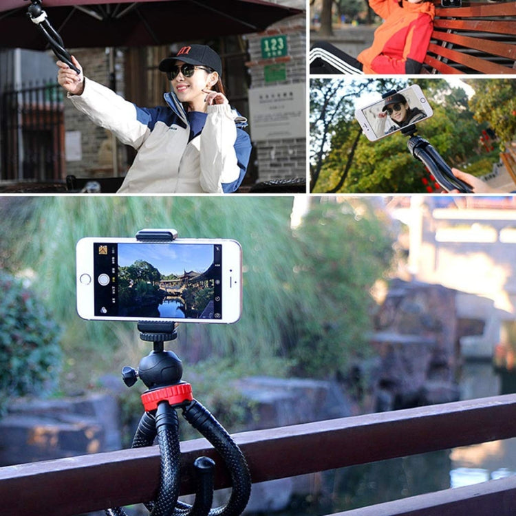 MZ305 Mini Octopus Flexible Tripod Holder with Ball Head for SLR Cameras, GoPro HERO10 Black / HERO9 Black / HERO8 Black /7 /6 /5 /5 Session /4 Session /4 /3+ /3 /2 /1, DJI Osmo Action, Xiaoyi and Other Action Cameras, Cellphone, Size:30cmx5cm My Store