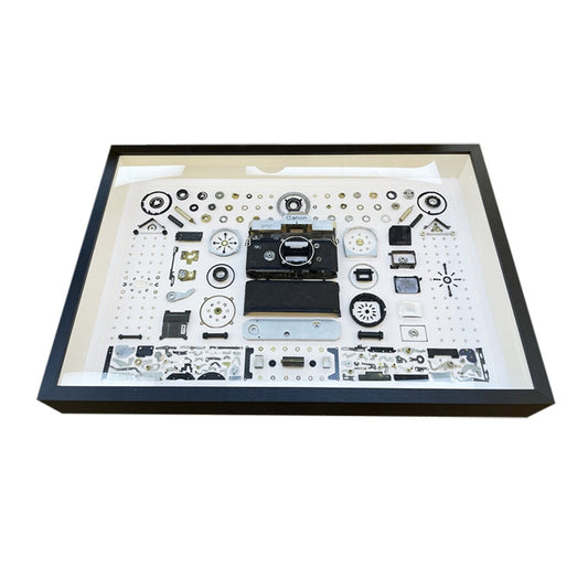 Non-Working Display 3D Mechanical Film Camera Rectangle Photo Frame Mounting Disassemble Specimen Frame, Model: Style 7, Random Camera Model Delivery