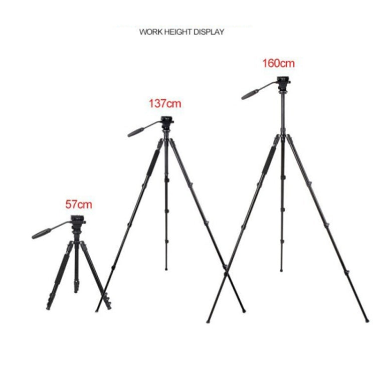 TRIOPO K2808 Aluminum Tripod Mount with HY-350 Heavy Duty Damping Head