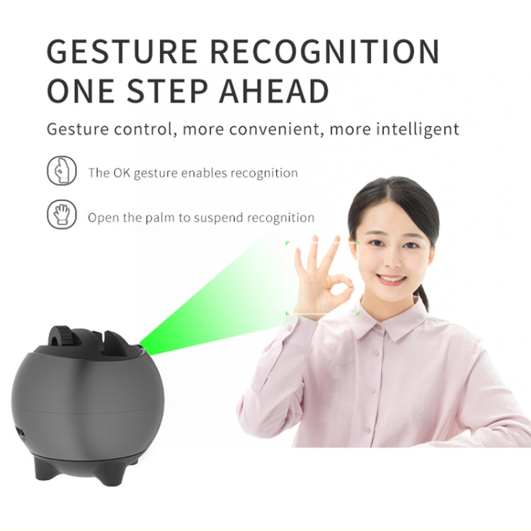 Q9 Al Gesture Recognition Two Axis Follow-up Cloud Platform My Store