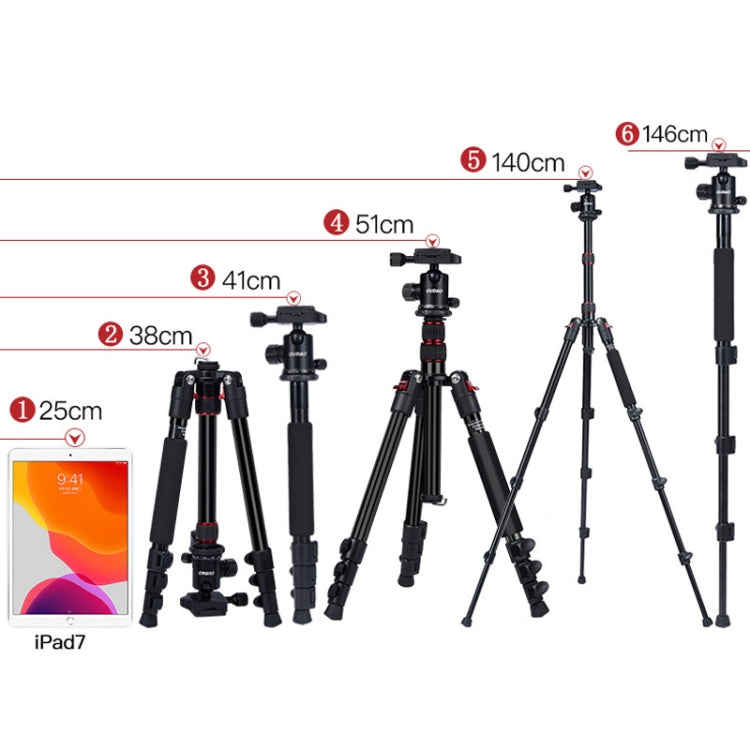 TRIOPO K2508S+B1S Adjustable Portable  Aluminum Alloy Tripod with Ball Head for SLR Camera