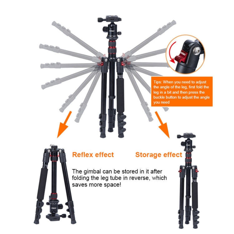 TRIOPO K2508S+B1S Adjustable Portable  Aluminum Alloy Tripod with Ball Head for SLR Camera