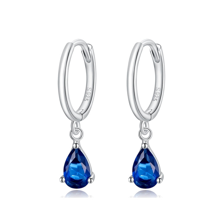 S925 Sterling Silver Water Drop Zircon Women Earrings My Store