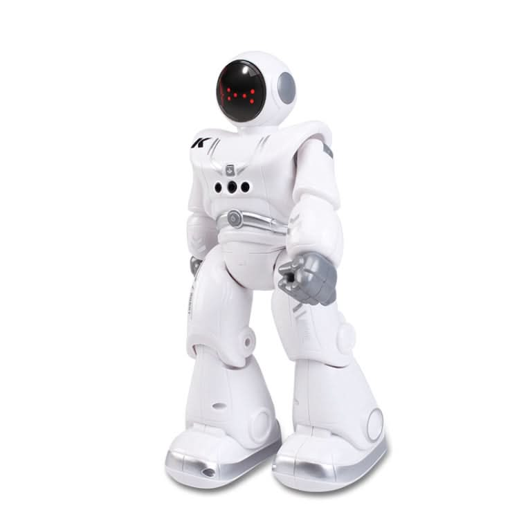 JJR/C R18 Gesture Sensing Remote Control Robot Reluova