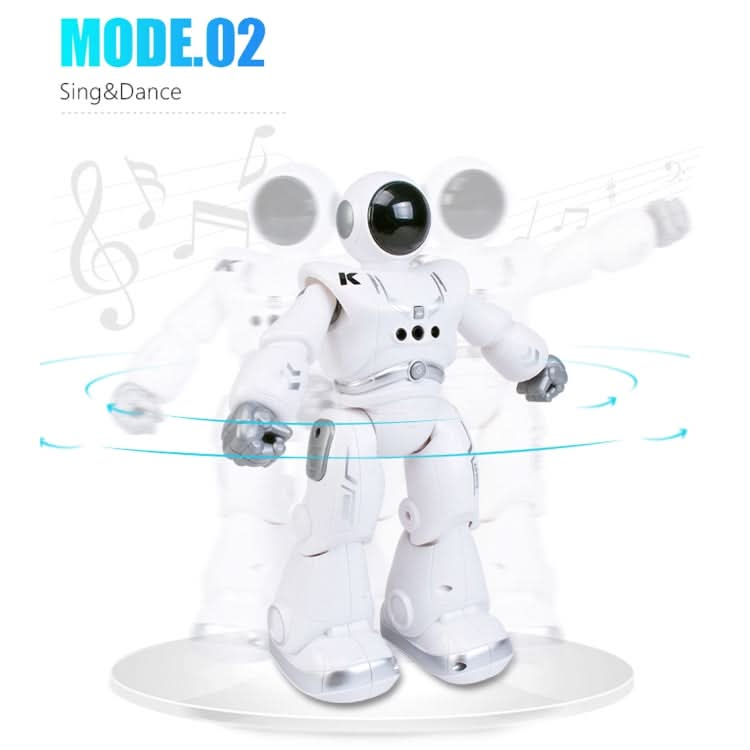 JJR/C R18 Gesture Sensing Remote Control Robot Reluova