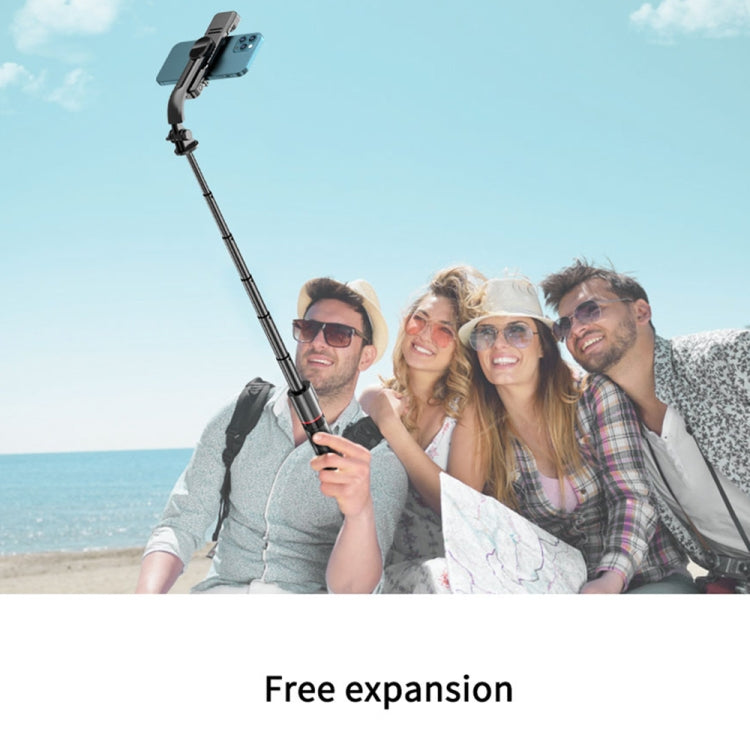 L12D Bluetooth Remote Control Detachable Fill Light Tripod Selfie Stick Phone Holder My Store