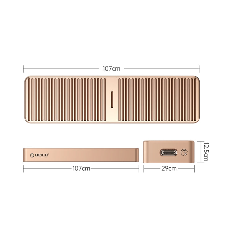 ORICO M.2 NGFF 6Gbps SSD Enclosure My Store