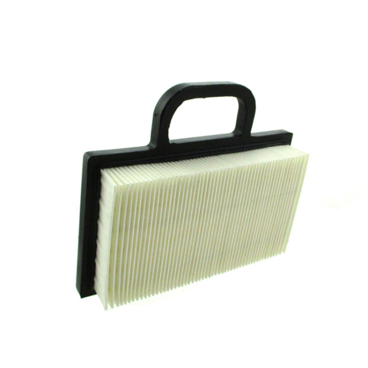 Air Filter Cleaner for Briggs & Stratton 499486S 273638S My Store