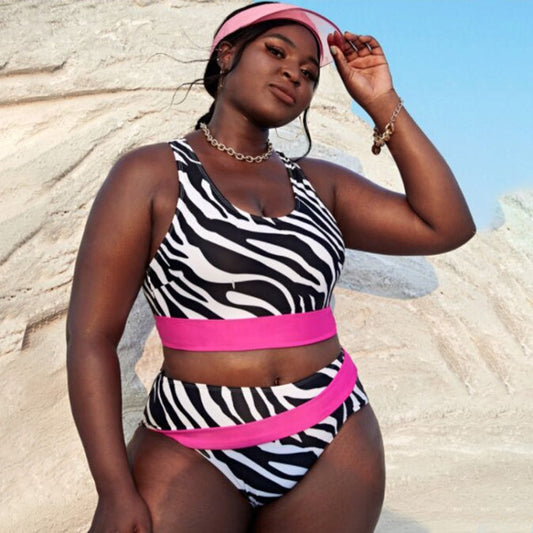 Sexy Printed Plus Size High Waist Split Bikini Swimsuit