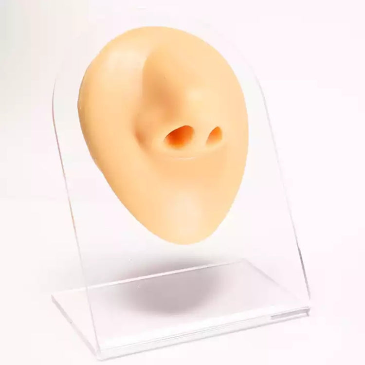 Simulation Facial Features Silicone Model My Store