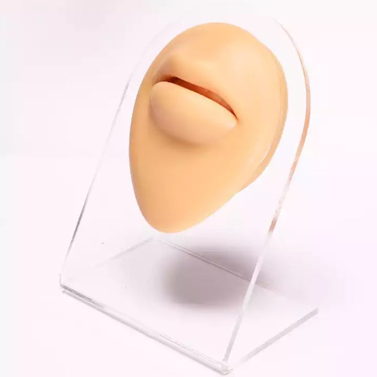 Simulation Facial Features Silicone Model My Store