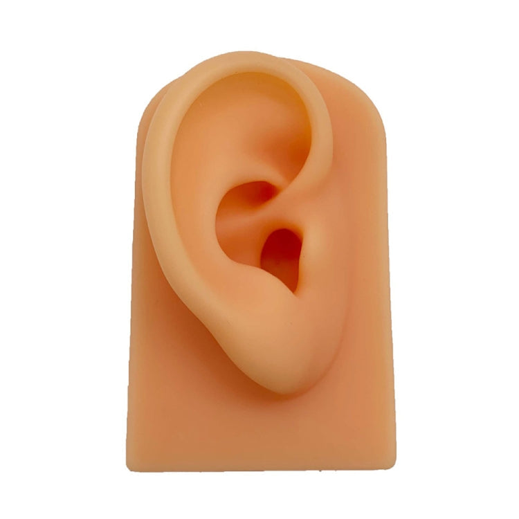 TX-S90 Simulation Ear Silicone Model My Store