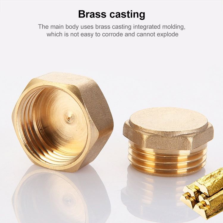 LAIZE 2pcs Hexagon Plug Female Thread, Caliber:4 Point My Store