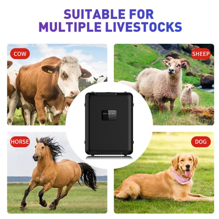 Multifunctional Waterproof Livestock Locator Tracker - Reluova