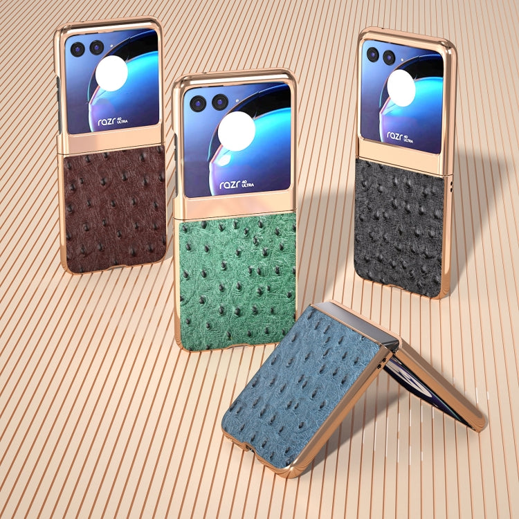 Nano Plating Genuine Leather Ostrich Texture Phone Case My Store