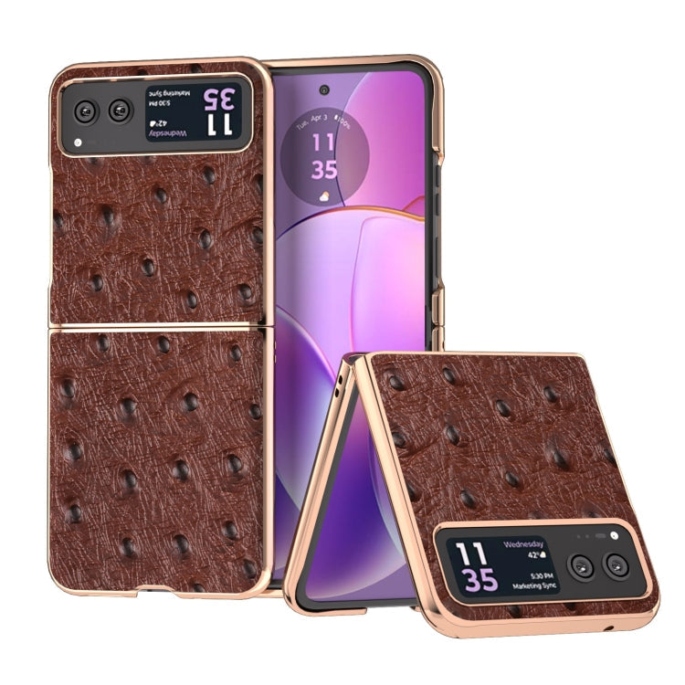 Nano Plating Genuine Leather Ostrich Texture Phone Case My Store