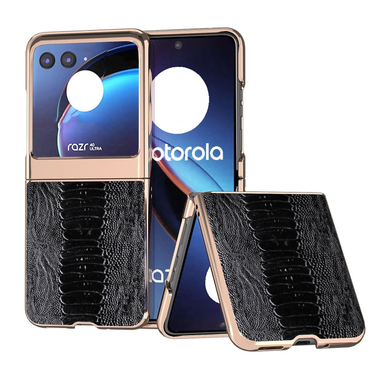 Nano Plating Genuine Leather Weilai Series Phone Case My Store