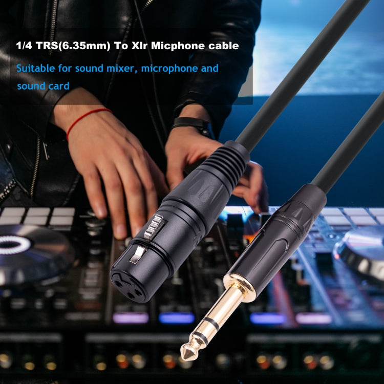 6.35mm 1/4 TRS Male to XLR 3pin Female Microphone Cable