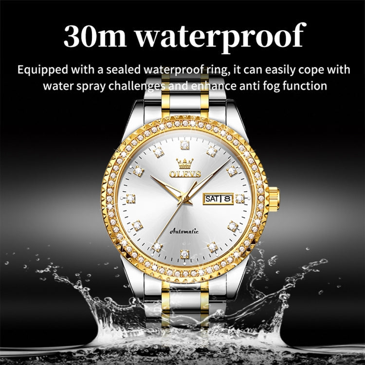 OLEVS 7003 Men Multifunctional Waterproof Mechanical Watch Reluova