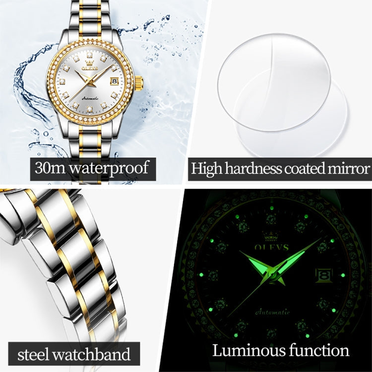 OLEVS 7003 Women Multifunctional Waterproof Mechanical Watch