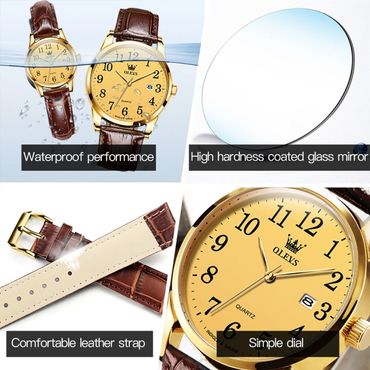 OLEVS 5566 Men Simple Single Calendar Waterproof Quartz Watch Reluova