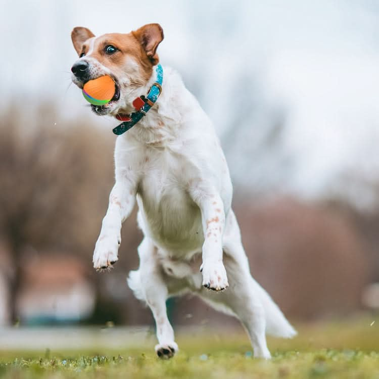 O3 8.5cm Intelligent Auto Pet Toy Dog Training Luminous Ball with Radar Trigger - Reluova