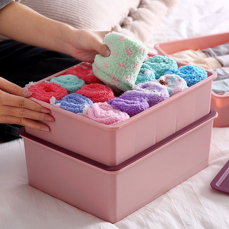 Contrast Color Underwear Storage Box Multi-Gate Plastic Bra Socks Storage Box