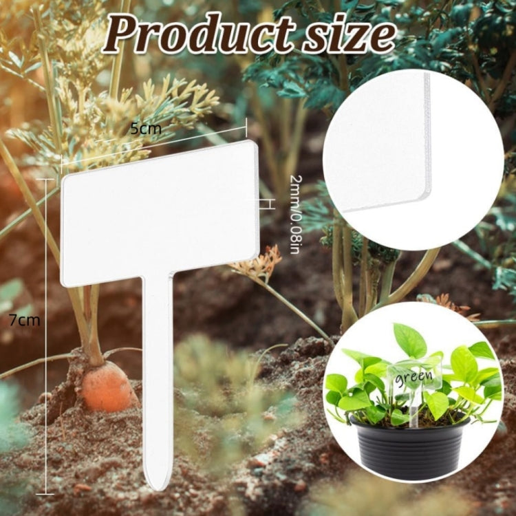 24pcs / Box Acrylic Plant Label Nameplate Potted Plant Sign Holder My Store