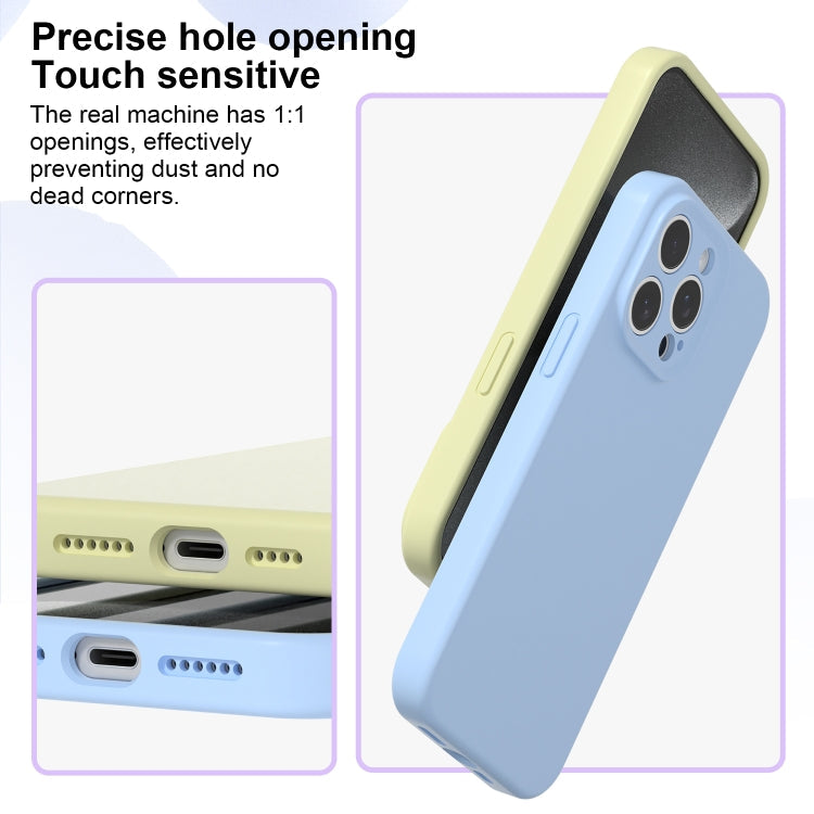 Precise Hole Liquid Silicone Jelly Color Full Coverage Phone Case, Series 17