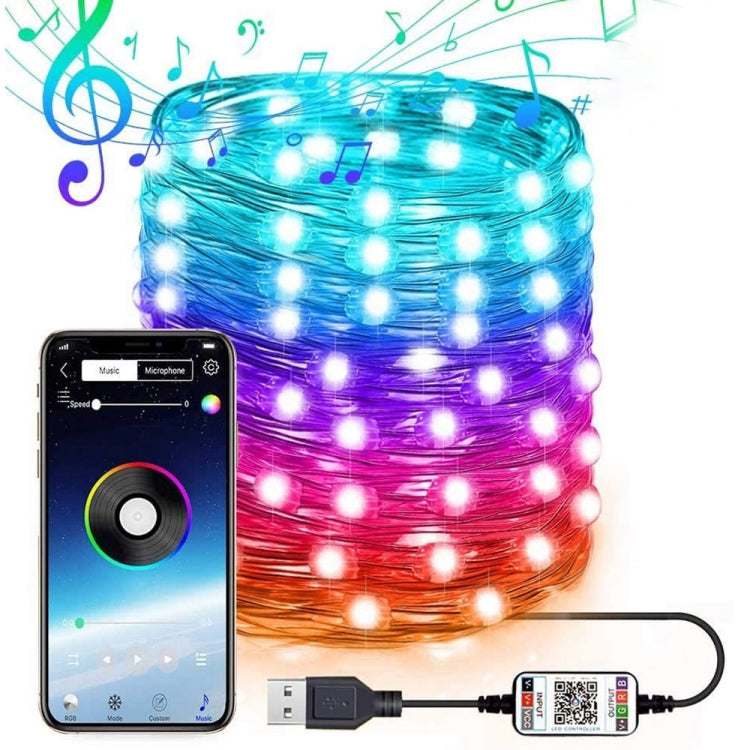 RGB USB  LED Copper Wire Light String Holiday Decoration Light String Bluetooth Mobile APP Control My Store