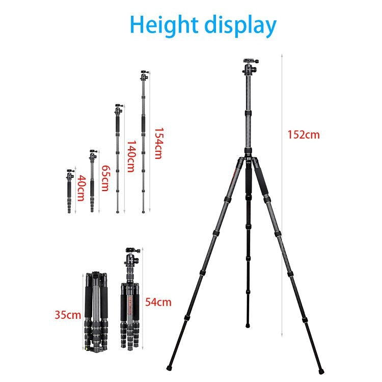 BEXIN BX255C K30 Portable Carbon Fiber Tripod for Camera Dslr