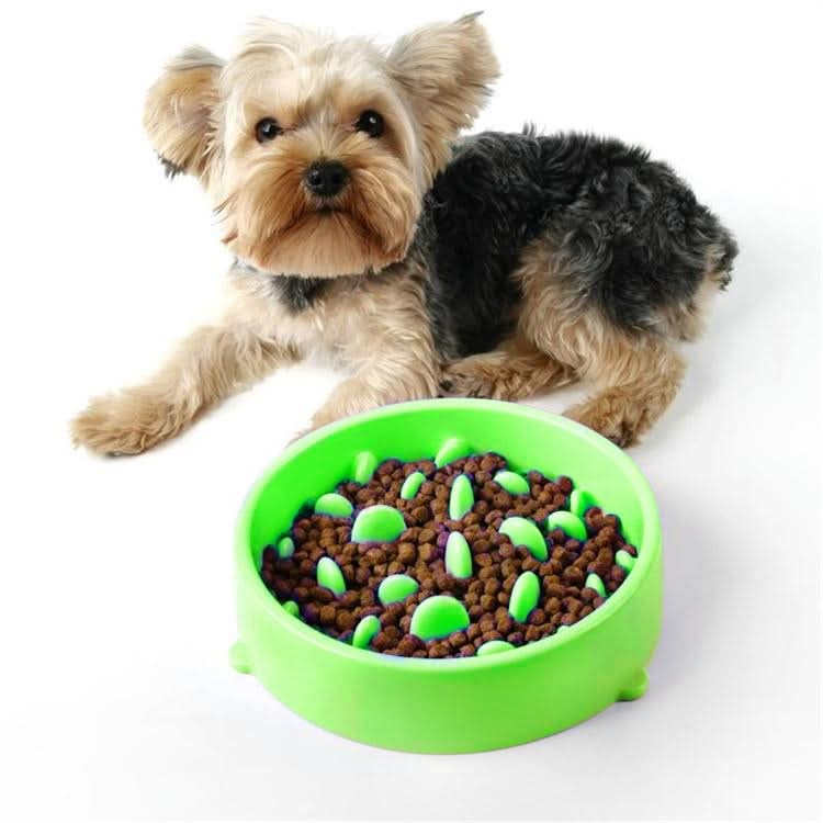 Pet Bowl Preventing Choking PP Bowl - Reluova