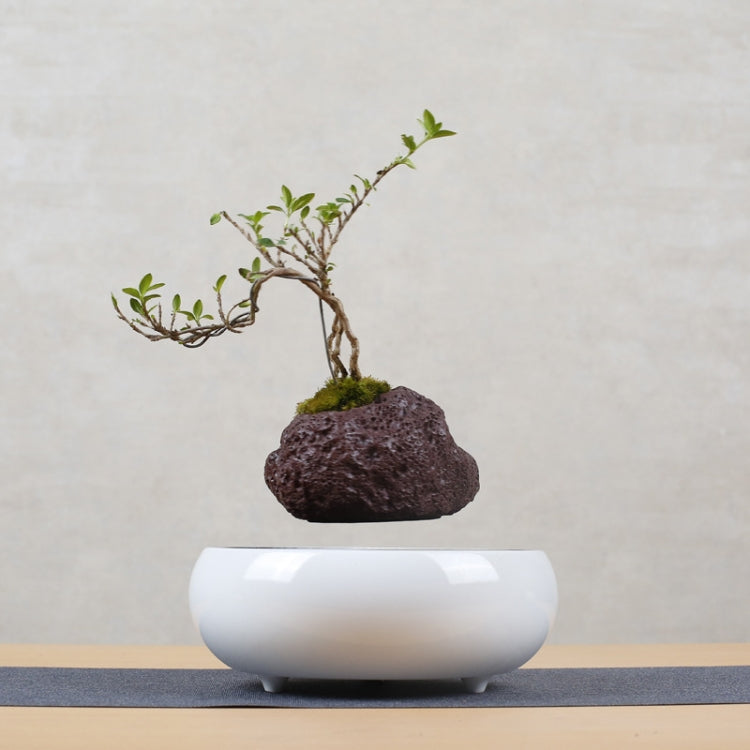 Soil Color Flower Pot + Imitation Ceramic Resin Base Magnetic Levitation Potted Plant Home Decoration, US Plug My Store