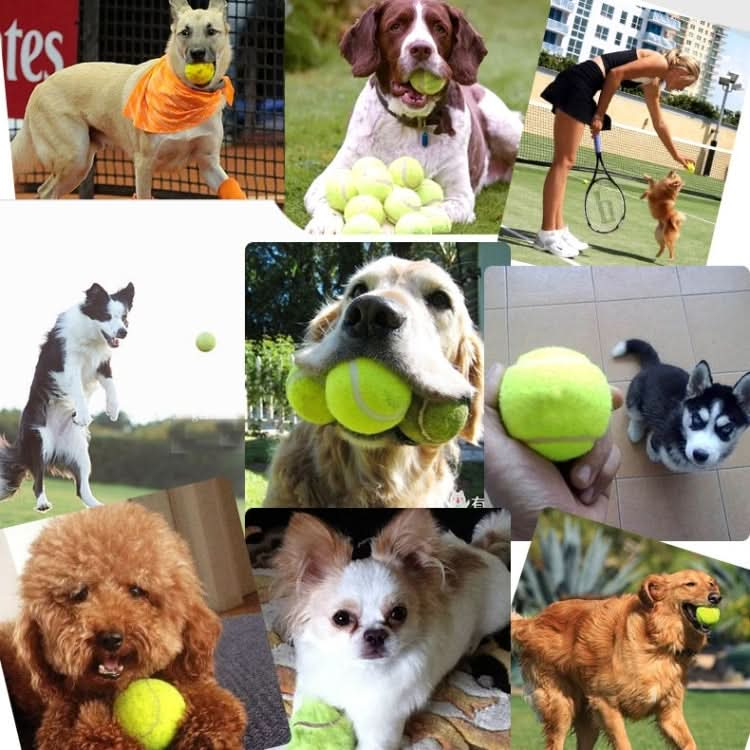 Pet Dog Supplies Toy Training Launcher Remote Speed Aiming Tennis Launcher, Size:52*19*9cm.