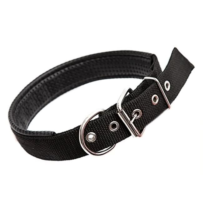 Foam Cotton  Polyester Pet Collars Pet Neck Strap Dog Neckband Cats Dogs Collars, 3.5cm x 57cm - Reluova