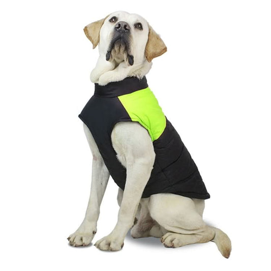 Pet Dog Cotton Vest Skit Suit, Size: 3XL, Chest: 58cm, Back Length: 50cm - Reluova