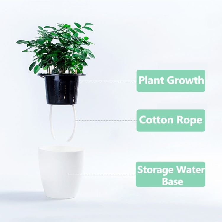 Lazy Flower Pots Automatic Water-absorbing Hydroponic Potted Plants Circular Resin Plastic Flower Pots Double-layer Design Self Watering Planter, Diameter: 11cm, Height: 10.3cm My Store