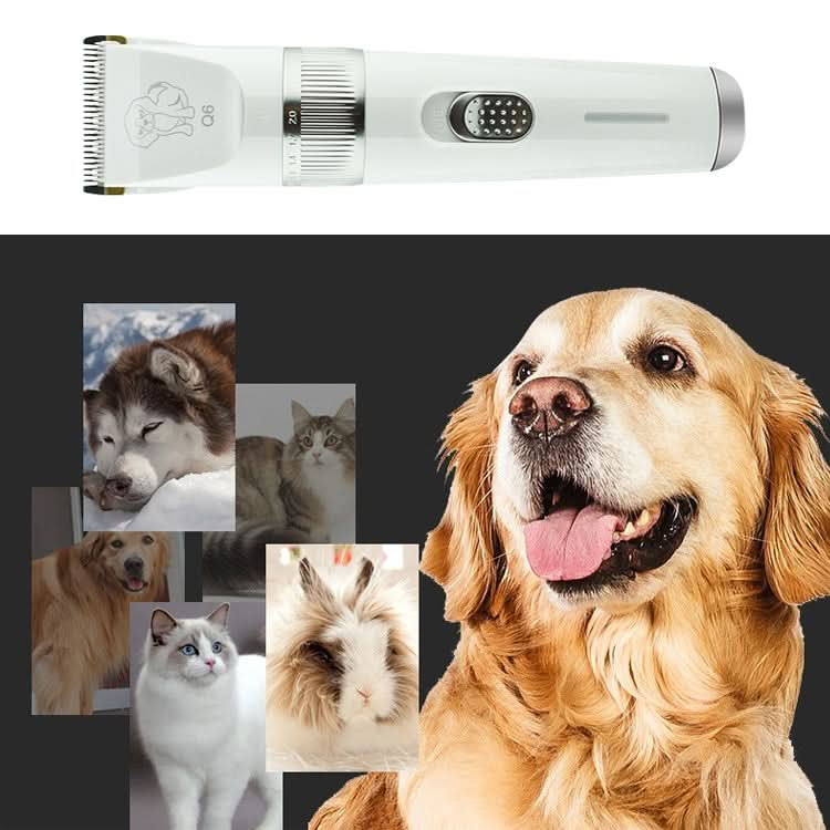 Q6 USB Charging Electric Pet Shaver with Four Combs - Reluova