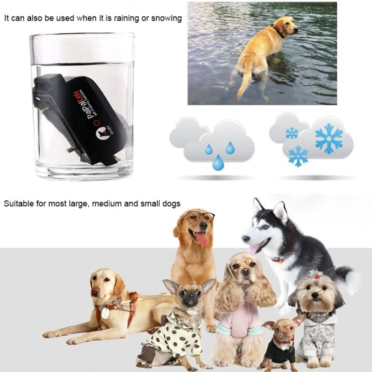 Automatic Anti Barking Collar Pet Training Control System + Electric Shock PU Leather Collar for Dogs.