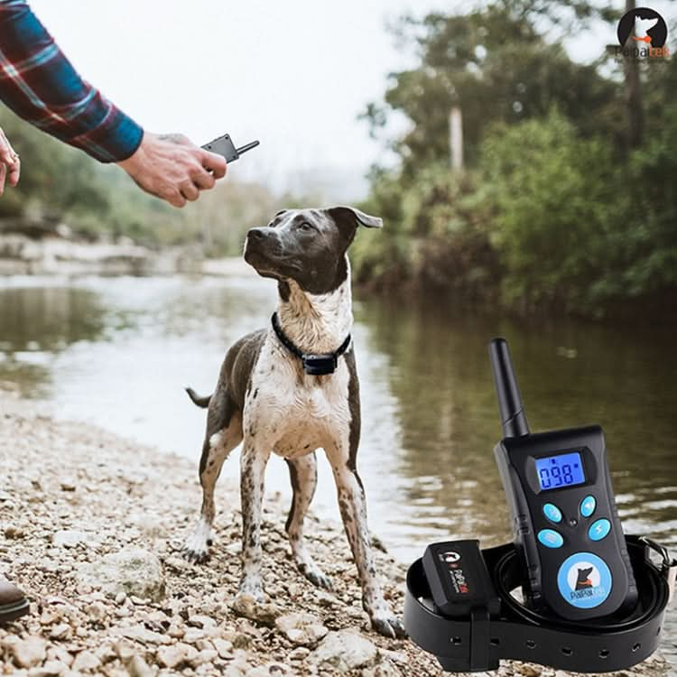 Automatic Anti Barking Collar Pet Training Control System + Electric Shock PU Leather Collar for Dogs.