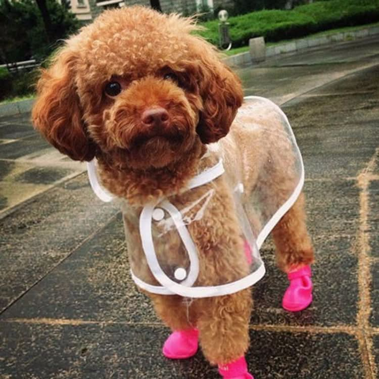 Lovely Pet Dog Shoes Puppy Candy Color Rubber Boots Waterproof Rain Shoes, S, Size:  4.3 x 3.3cm - Reluova