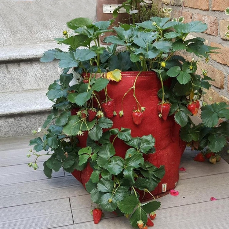 6 Pockets 26L / 7 Gallon Non-woven Felt Strawberry Planting Bag, Size: 30X35cm My Store