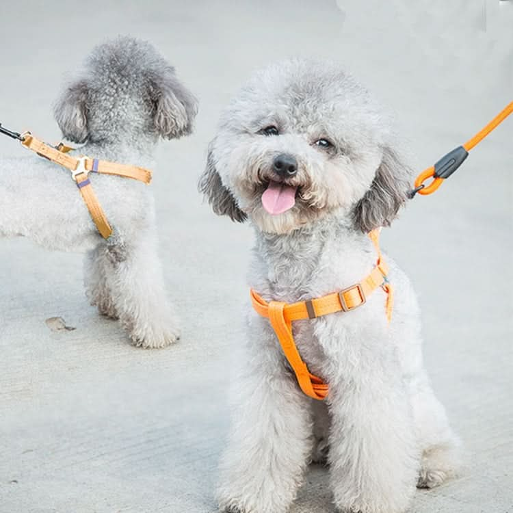 Pet Dog Collar + Harness + Leash Three Sets, S, Harness Chest Size: 34-50cm, Collar Neck Size: 24-35cm, Pet Weight: 8kg Below - Reluova