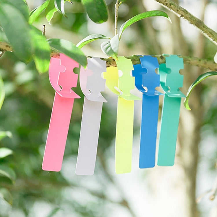 50 PCS Waterproof  Label  Floral Plant Label Gardening Label,Random Color Delivery My Store