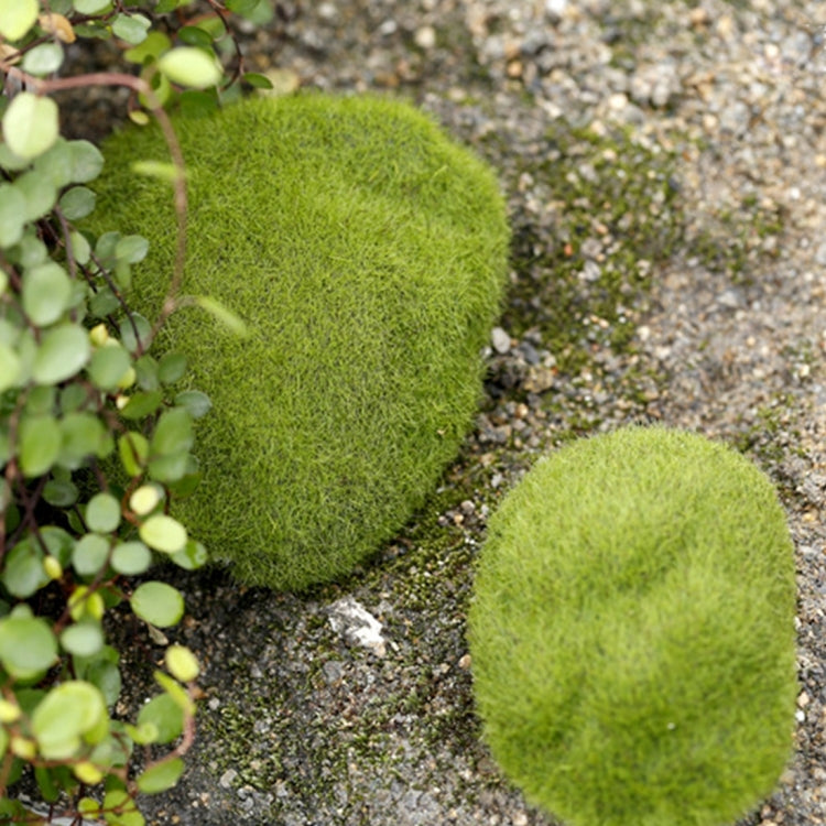 5pcs Simulation of False Moss Simulation of Bryophyte Stone Moss Flocking False Lawn Micro Landscape Decoration Accessories,Diameter: 8cm My Store