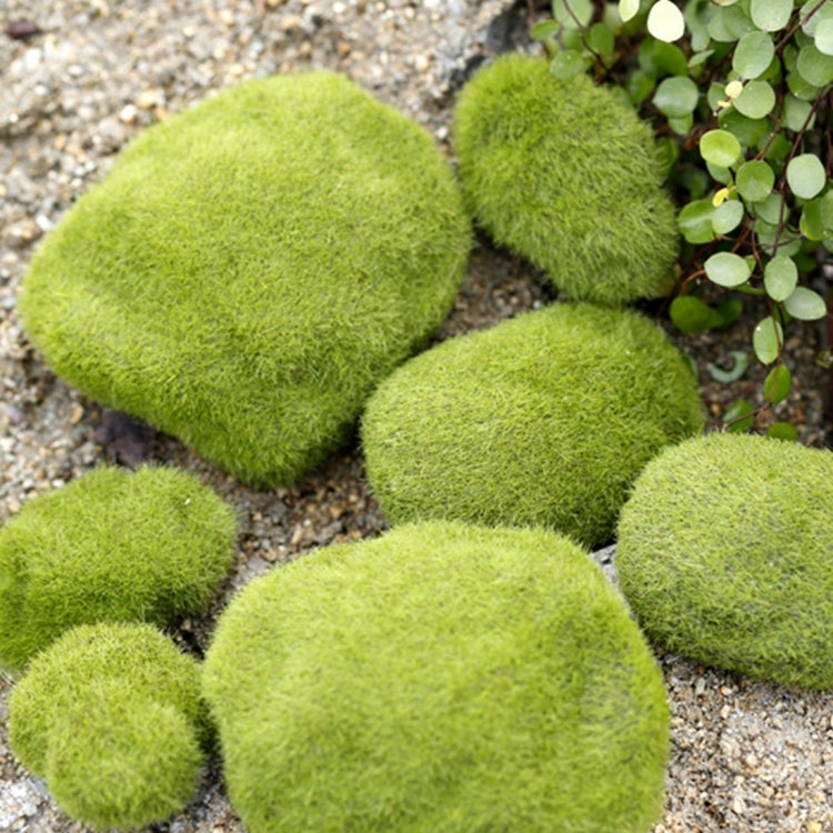 5pcs Simulation of False Moss Simulation of Bryophyte Stone Moss Flocking False Lawn Micro Landscape Decoration Accessories,Diameter: 8cm My Store