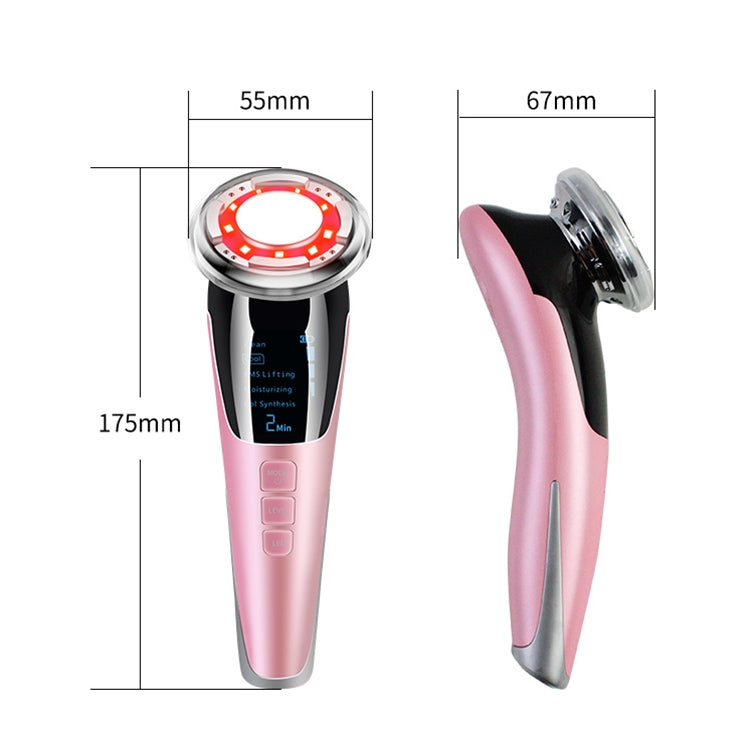 BLK-D818 Facial Beauty Instrument Hot and Cold Color Skin Rejuvenation Instrument EMS Micro Current Beauty Introduction Instrument Reluova